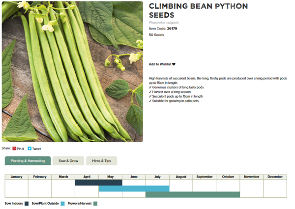 Climbing French Bean (Python) – Aghalee Building Supplies