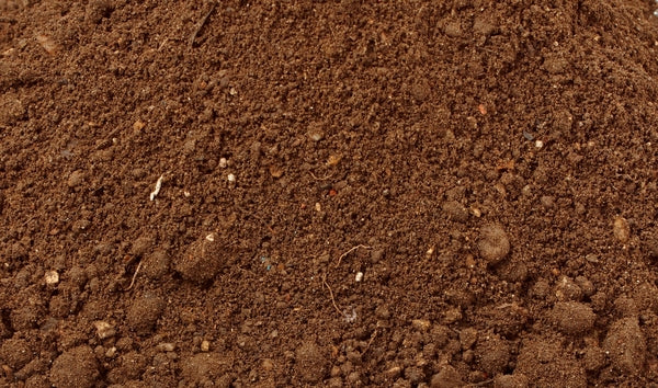 Topsoil