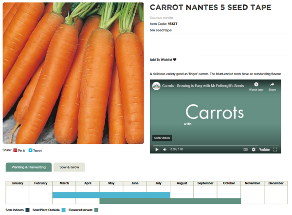 Carrot (Nantes 5, 6 Metres of Tape)