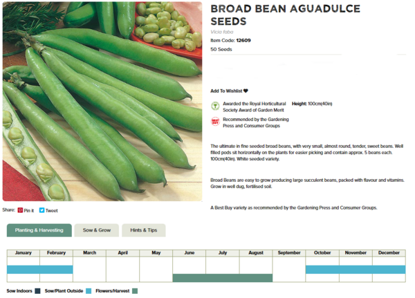 Broad Bean (Aguadulce)