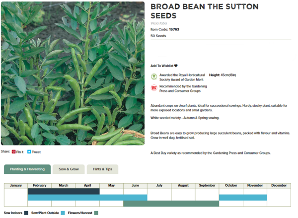 Broad Bean (Dwarf, The Sutton)