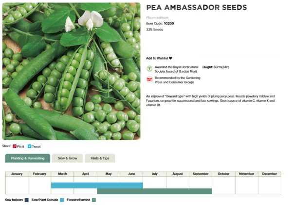 Pea (Ambassador)