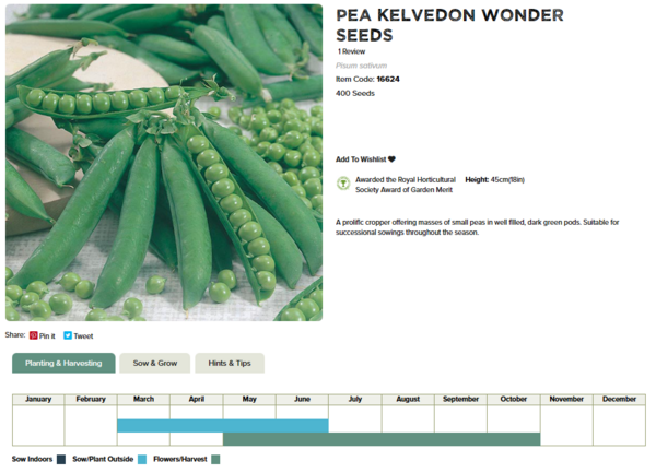 Pea (Kelvedon Wonder)