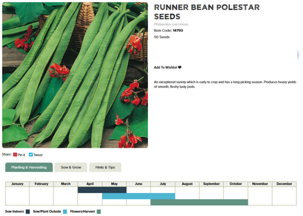 Runner Bean (Polestar)