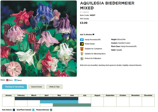 Aquilegia (Biedermeier Mixed)