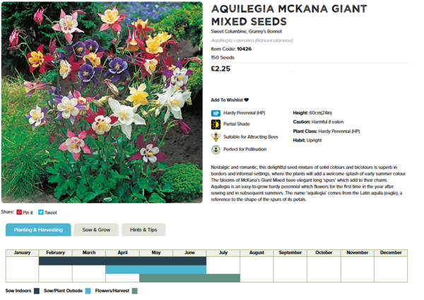 Aquilegia (McKana Giant Mixed)