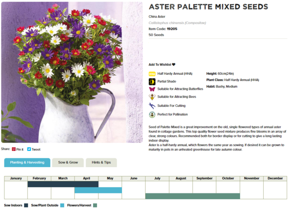Aster (Palette Mixed)