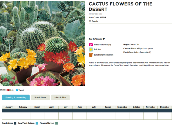 Cactus (Flowers of the Desert)