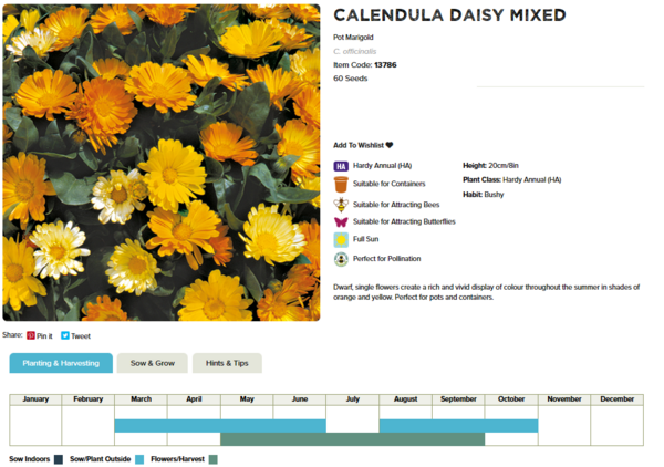 Calendula (Daisy Mixed)