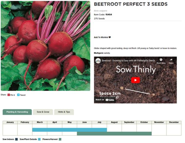 Beetrott (Perfect 3)