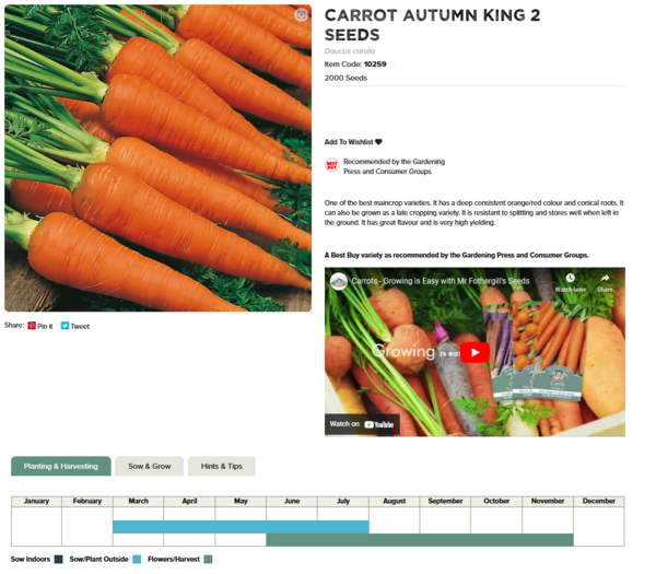Carrot (Autumn King 2)