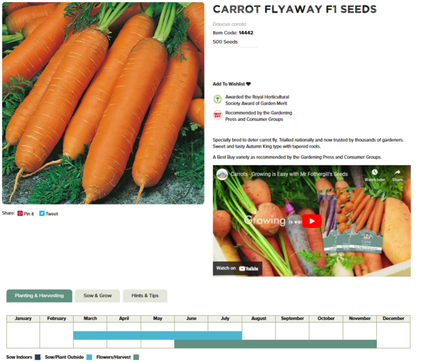 Carrot (Flyaway F1)