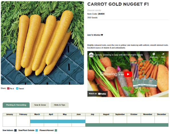 Carrot (Gold Nugget F1)