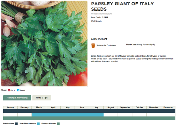 Parsley (Giant of Italy)
