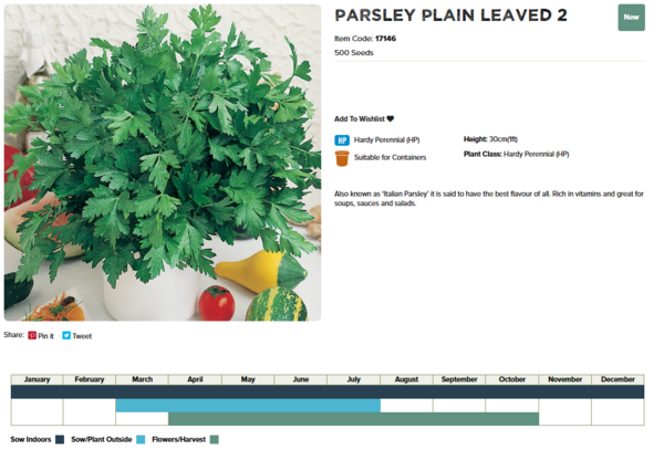 Parsley (Plain Leaved 2)