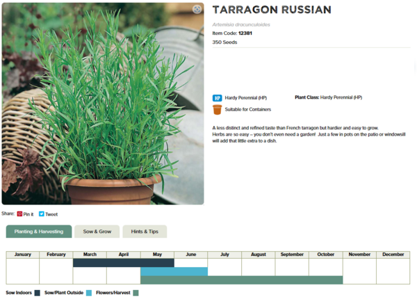 Tarragon (Russian)