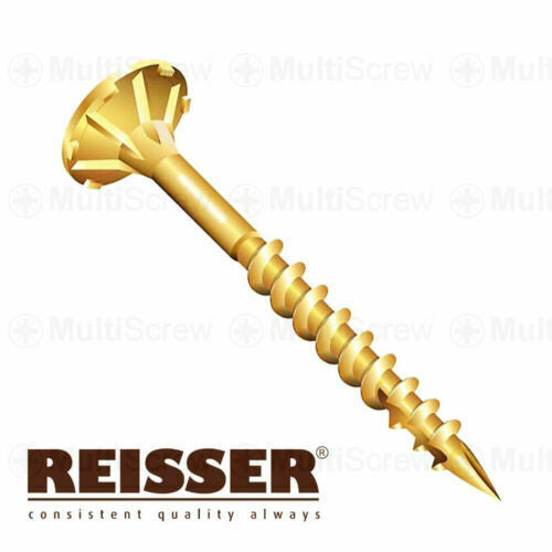Reisser Cutter Screw 5.0X80MM